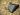 new gold luck charm 4 june ’26 #13